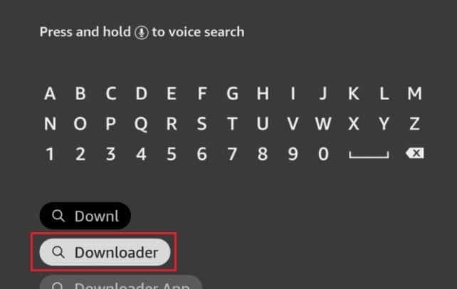 Downloader