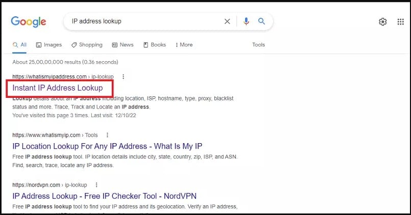 Instant IP Address Lookup webpage