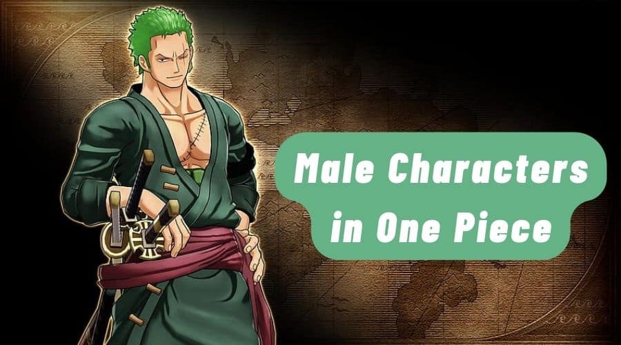 One Piece Male Characters