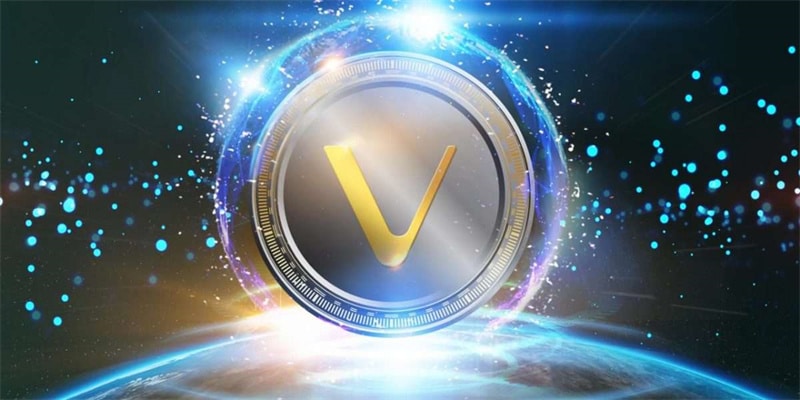 VeChain's Future