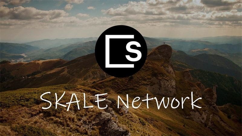 Understanding the SKALE Network