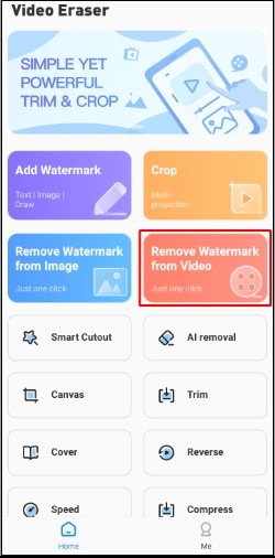 Remove Watermark from Video
