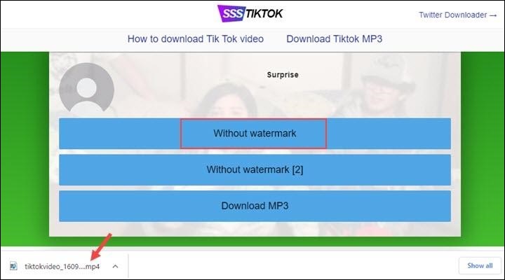 Without Watermark on TikTok