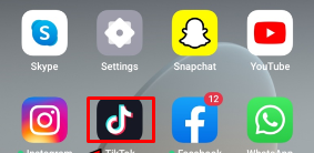 Access the TikTok app