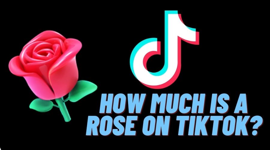 How Much Is A Rose On TikTok?