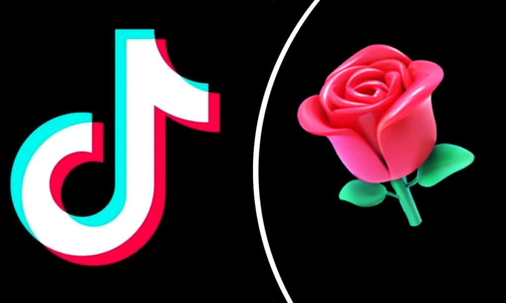 How Much Is a TikTok Rose Worth