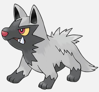 Poochyena Pokemon