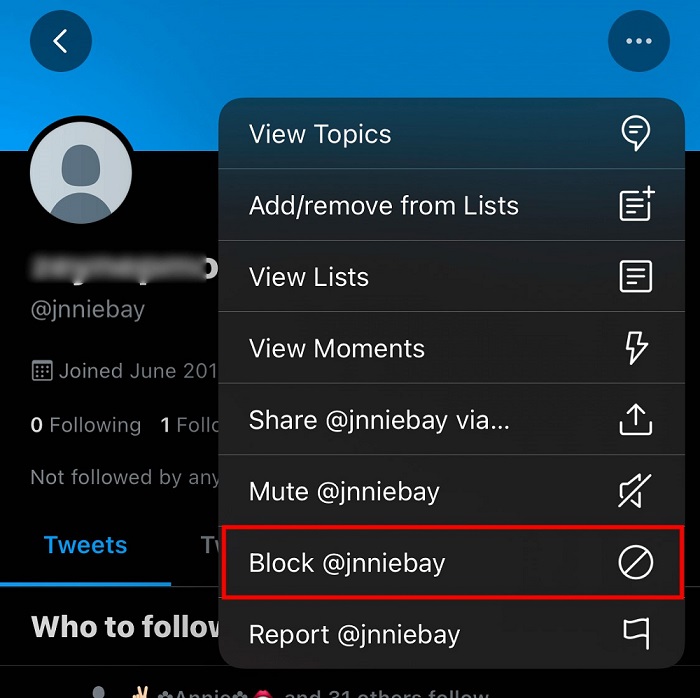 block the Twitter user