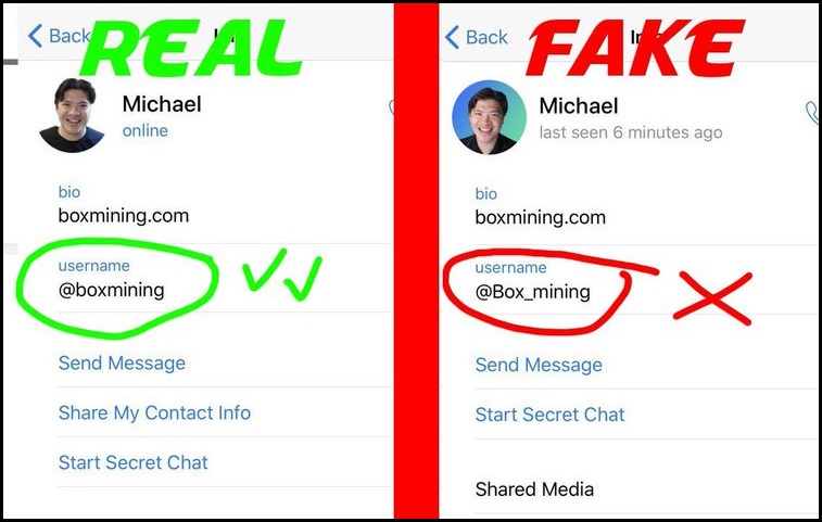 Fake Telegram Account