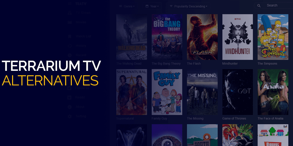 Alternatives To Terrarium TV For Roku